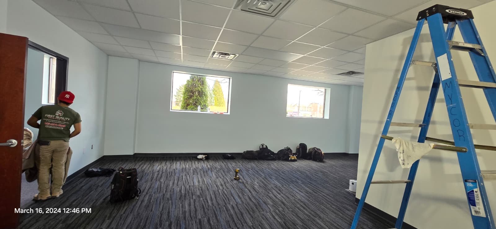 Elegant Residential Painting